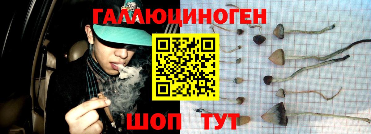 Галлюциногенные грибы Magic Shrooms Богородск