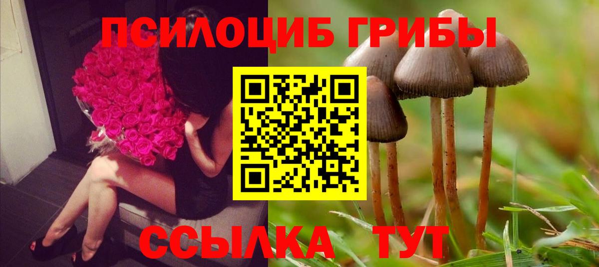 Галлюциногенные грибы GOLDEN TEACHER  Галлюциногенные грибы Magic Shrooms  Вход с VPN  Богородск 